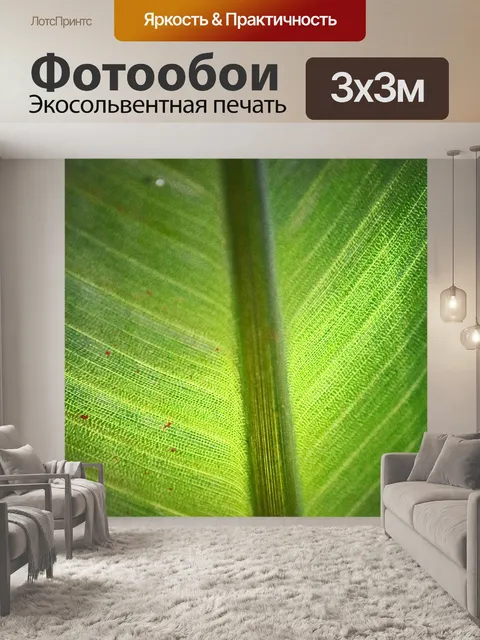 Фотообои вид и текстура большого зеленого листа