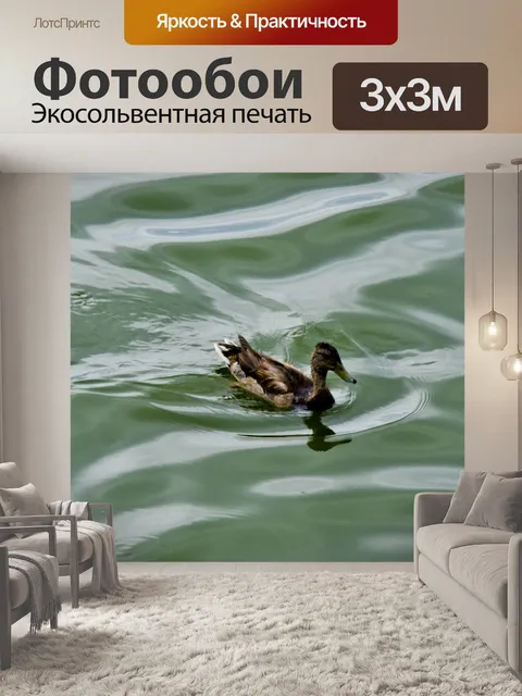 Фотообои Западная поганка