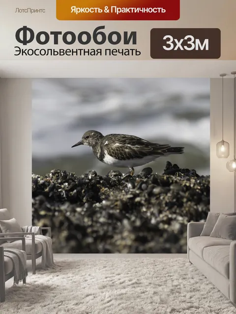 Фотообои Природа