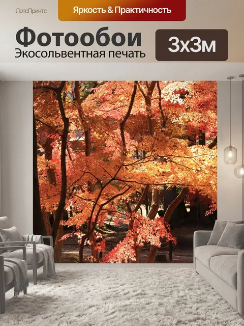 Фотообои Клен