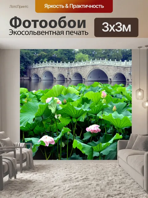 Фотообои Lotus Flower поле