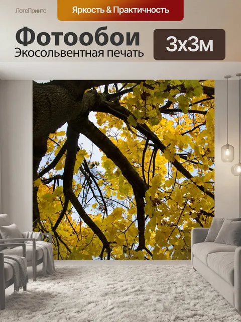 Фотообои Листья