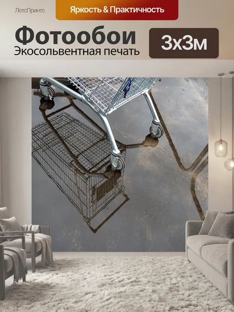 Фотообои тележку и лужи