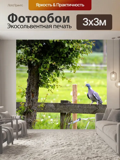 Фотообои Лесной голубь