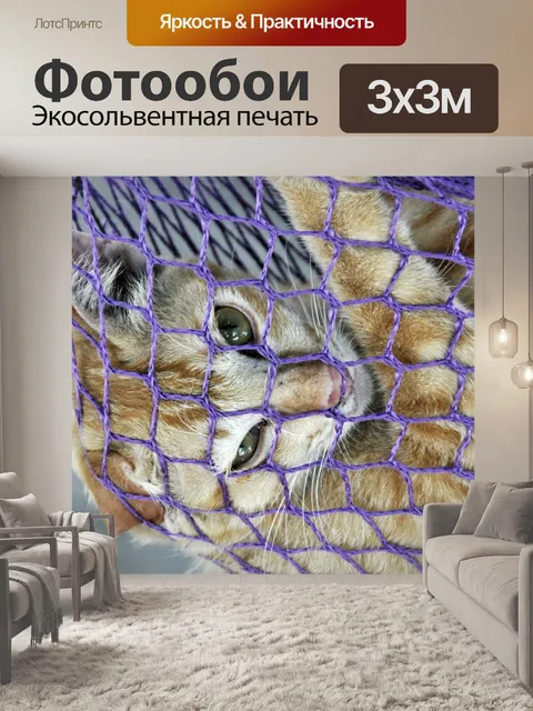 Фотообои Кот