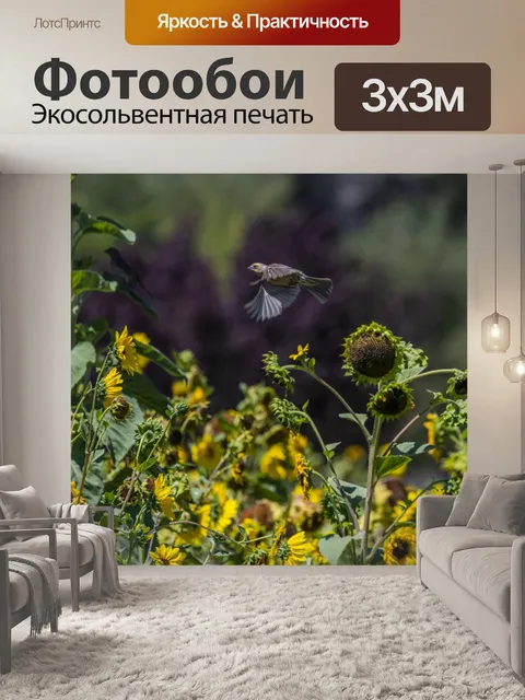 Фотообои фото подсолнуха и птицы