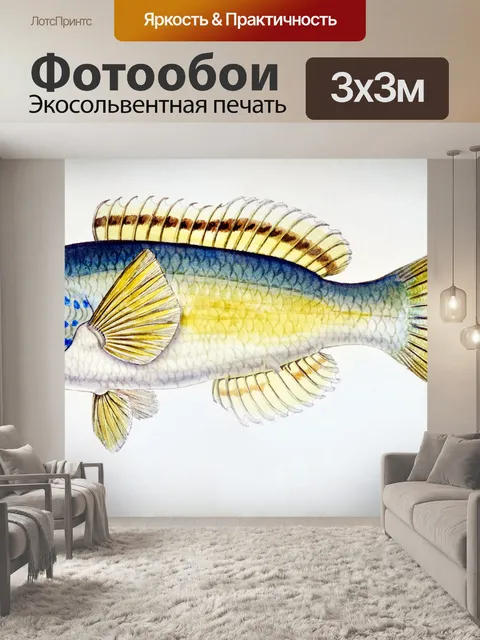Фотообои Рыба винтаж искусство старый