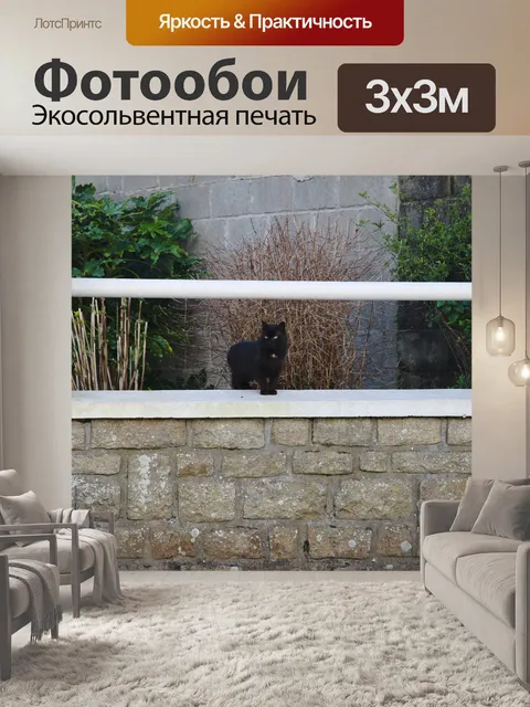 Фотообои Черная кошка на стене