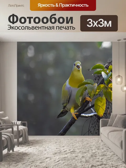 Фотообои Поймать