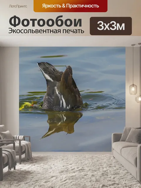 Фотообои Водоем
