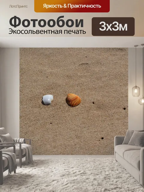 Фотообои Морская ракушка