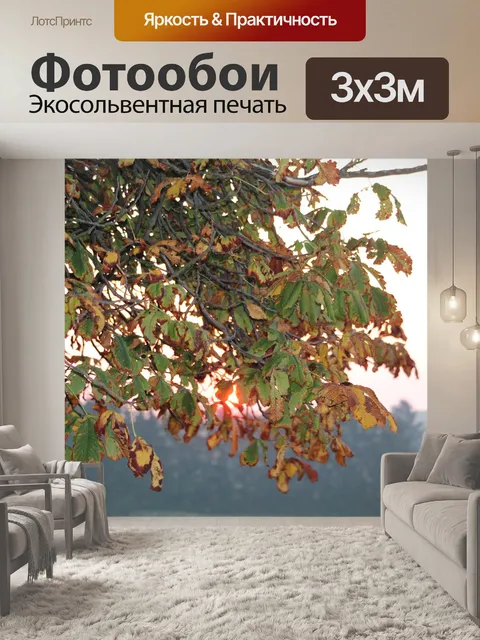 Фотообои Осенние листья