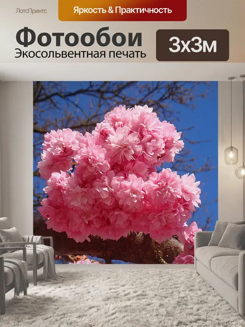 Фотообои Чернослив