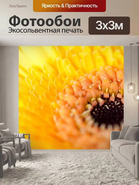 Фотообои Желтый цветок герберы