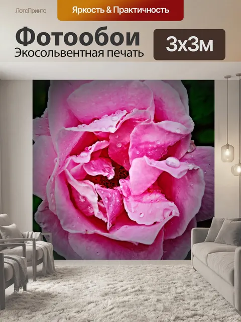 Фотообои Роза