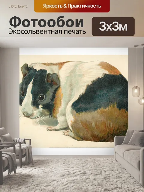 Фотообои Винтажная морская свинка