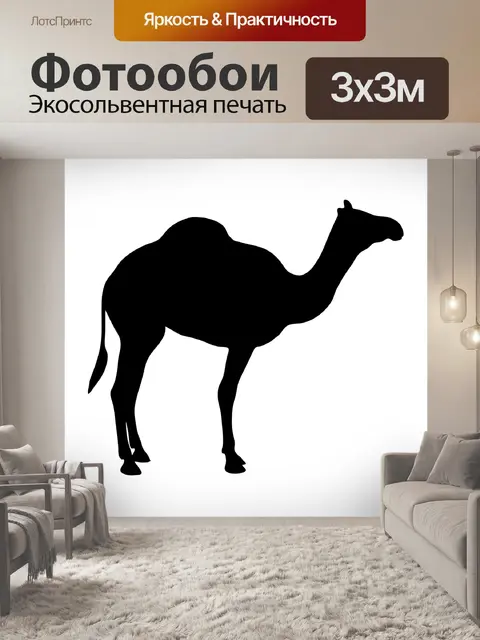 Фотообои Верблюд