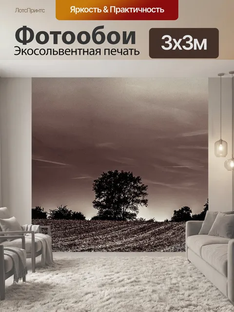 Фотообои Поле