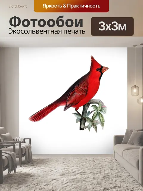 Фотообои Кардинал птица винтаж старый