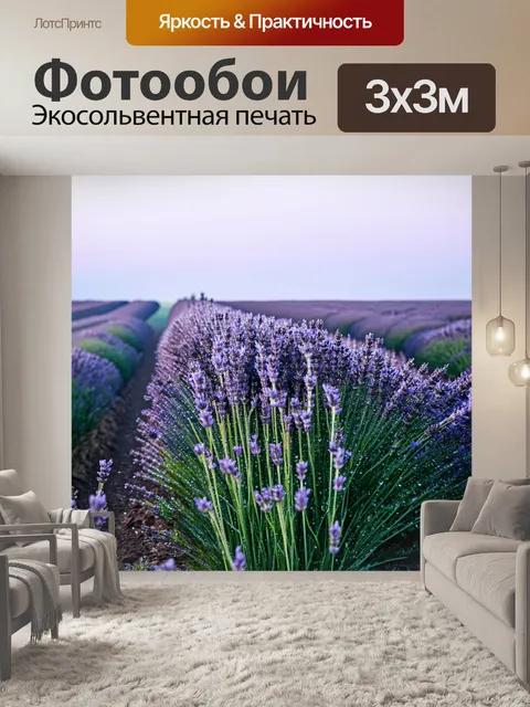 Фотообои утро, поле лаванды, утренний туман обвивает стебли, оставляя следы капель росы, воздух полон аромата