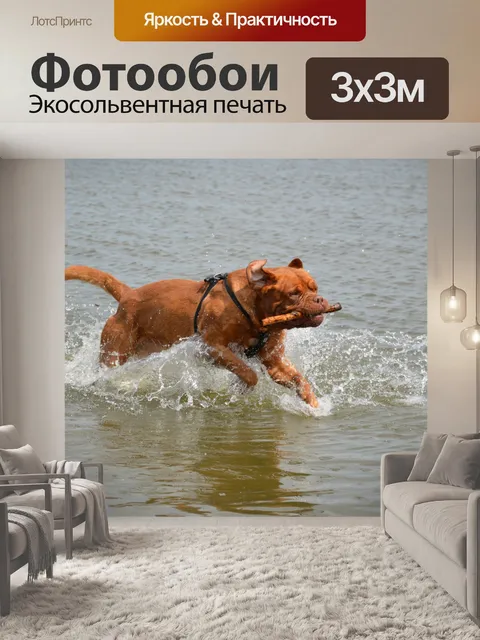Фотообои Мутной воде 1