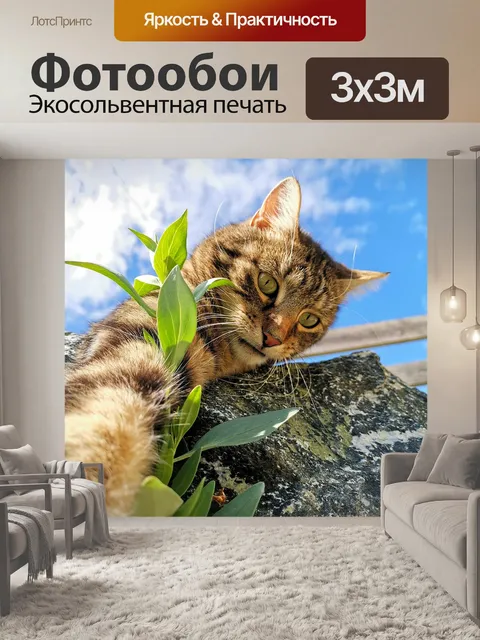 Фотообои Кот