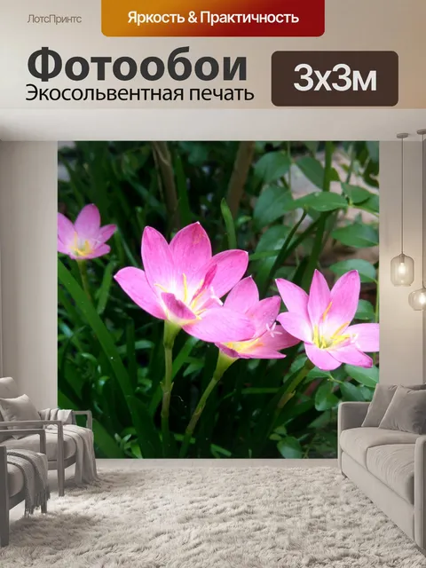 Фотообои Розовые лилии садовые