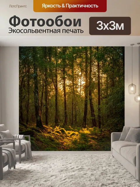 Фотообои лес, окутанный вечерним светом и тихими шуршанием