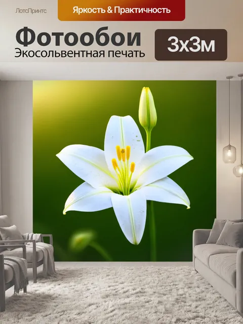 Фотообои Белый цветок лилии на мягком размытом зеленом фоне