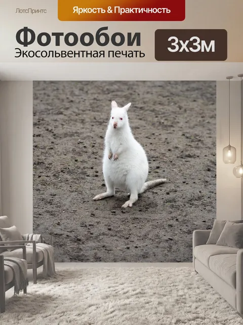Фотообои Валиби