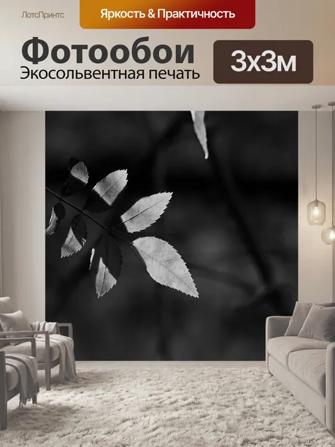 Фотообои Тень