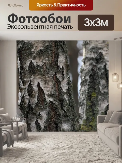 Фотообои Берёза
