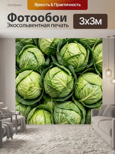 Фотообои Свежая белокочанная капуста крупным планом