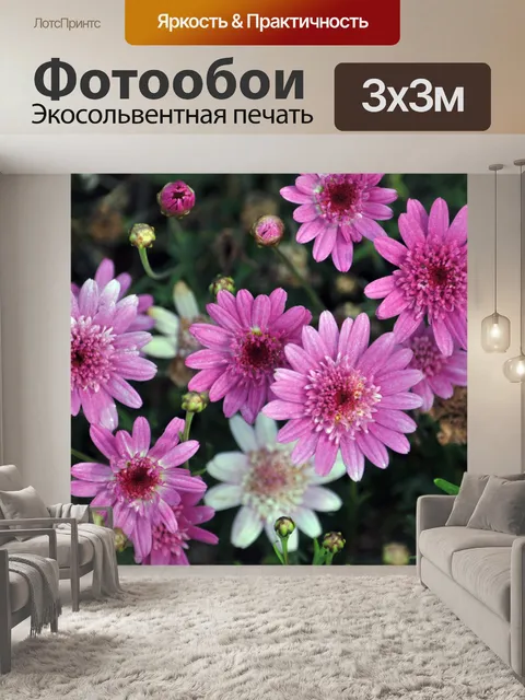 Фотообои Розовые маргаритки