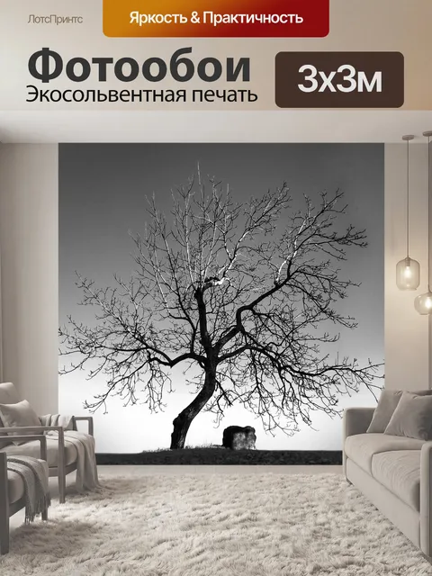 Фотообои Дерево