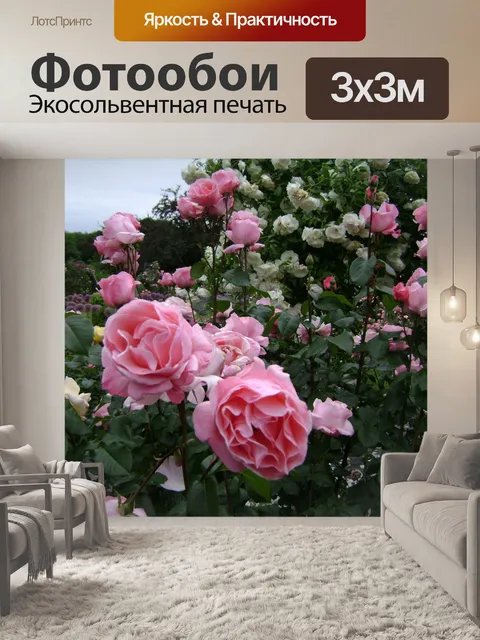Фотообои Розовые розы