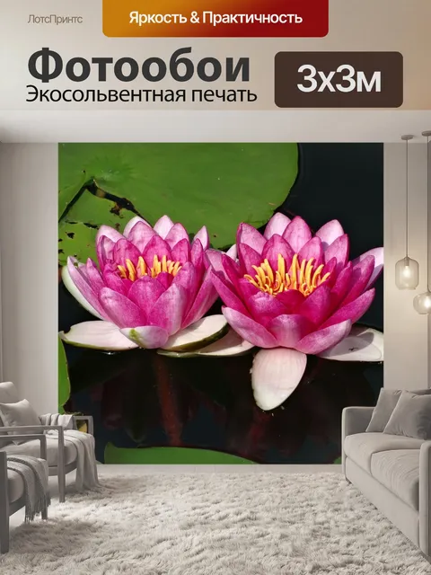 Фотообои Лотос
