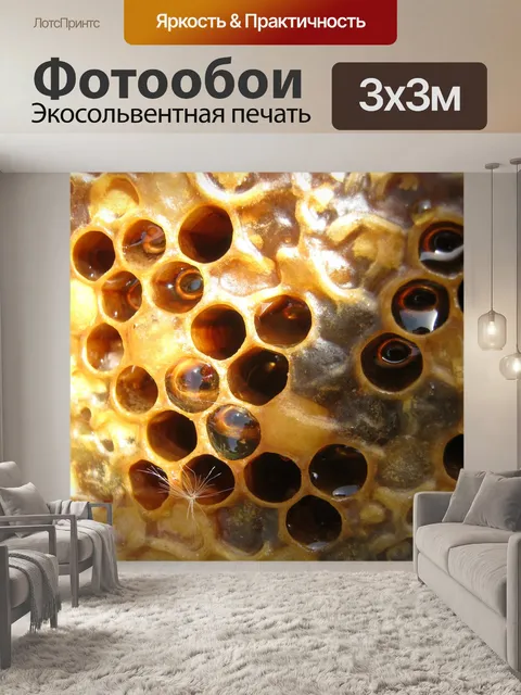 Фотообои Мед