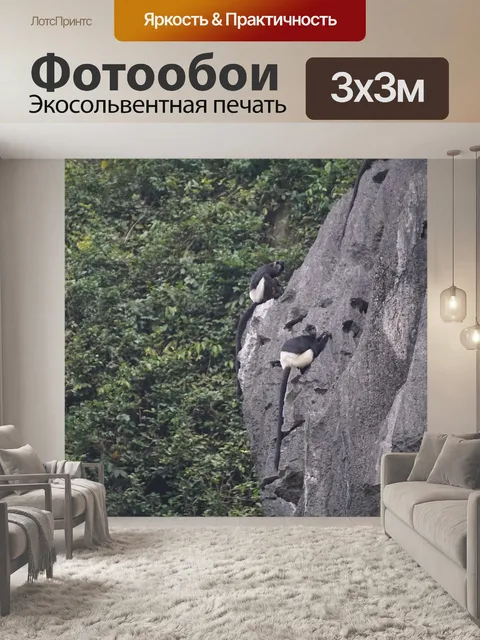 Фотообои Дикая природа