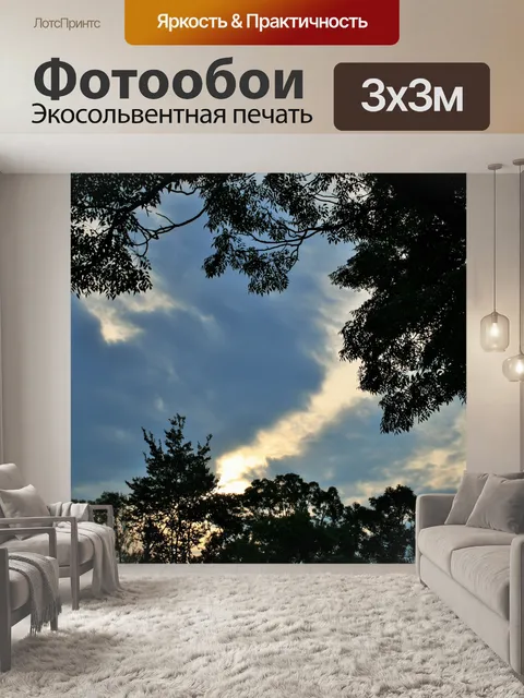 Фотообои листва силуэт и свет на облаке