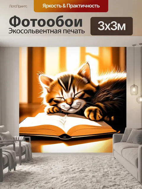 Фотообои невероятно милый котенок, спящий на столе с открытой книгой, где играют солнечные блики