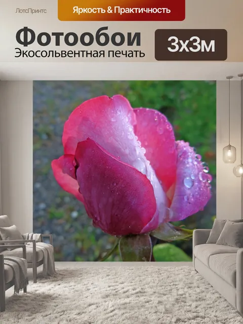 Фотообои Цветы