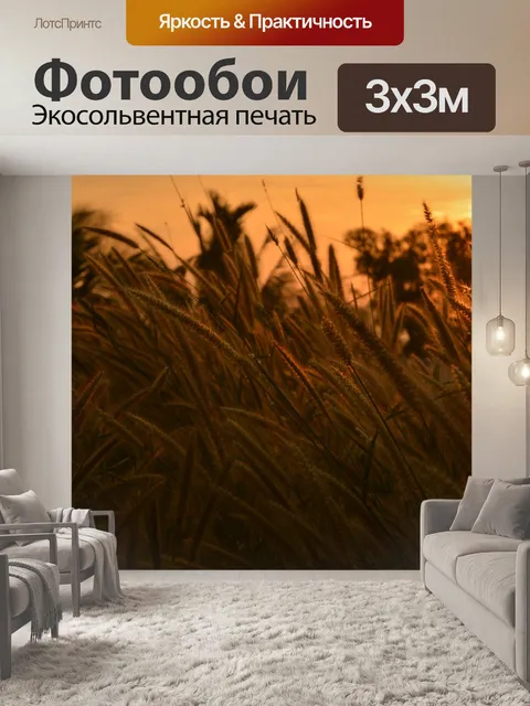 Фотообои Восход солнца