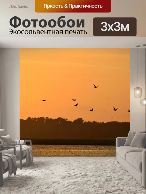Фотообои Пеликан Полет над рекой