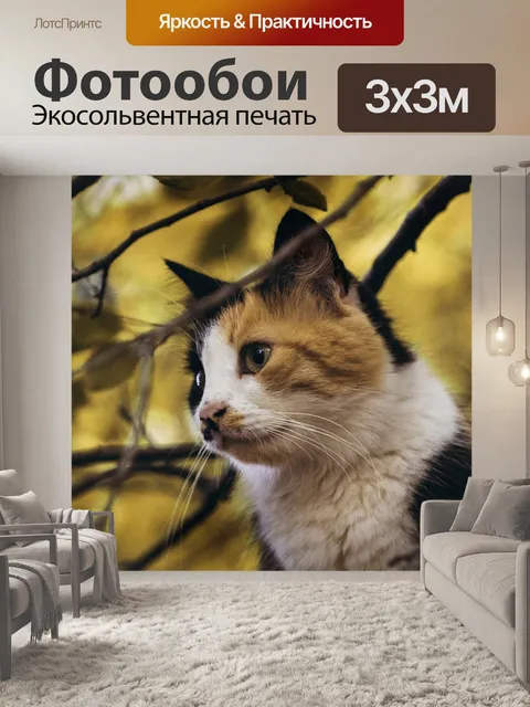 Фотообои Кошки