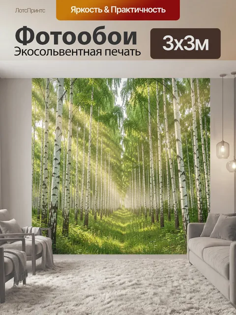 Фотообои Березовая роща в солнечных лучах