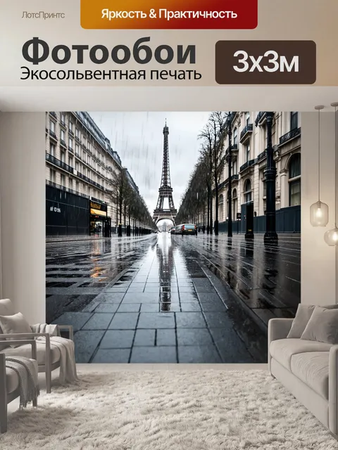 Фотообои серый дождливый день в париже