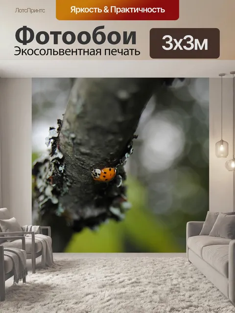 Фотообои Божья коровка на ветке