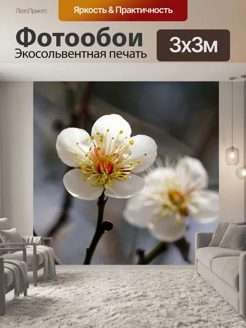Фотообои Сливы
