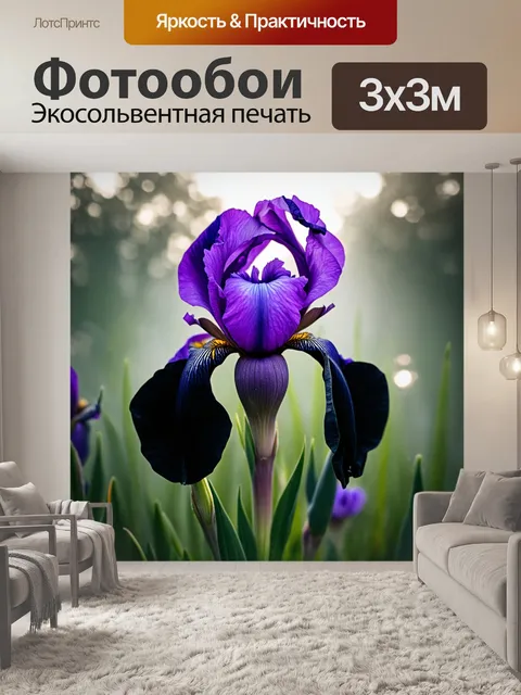 Фотообои цветы в стиле готический, где фиолетовые и черные ирисы залитые утренним туманом, создавая волшебный эффект